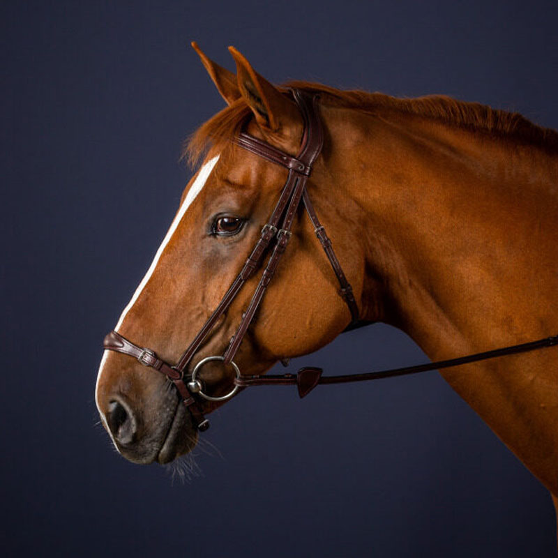 Dy'on New English Collection Adjustable Drop Noseband Bridle 1 Drop-Noseband-Bridle