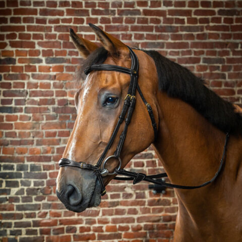 Dy'on Adjustable Drop Noseband Bridle Black Horse