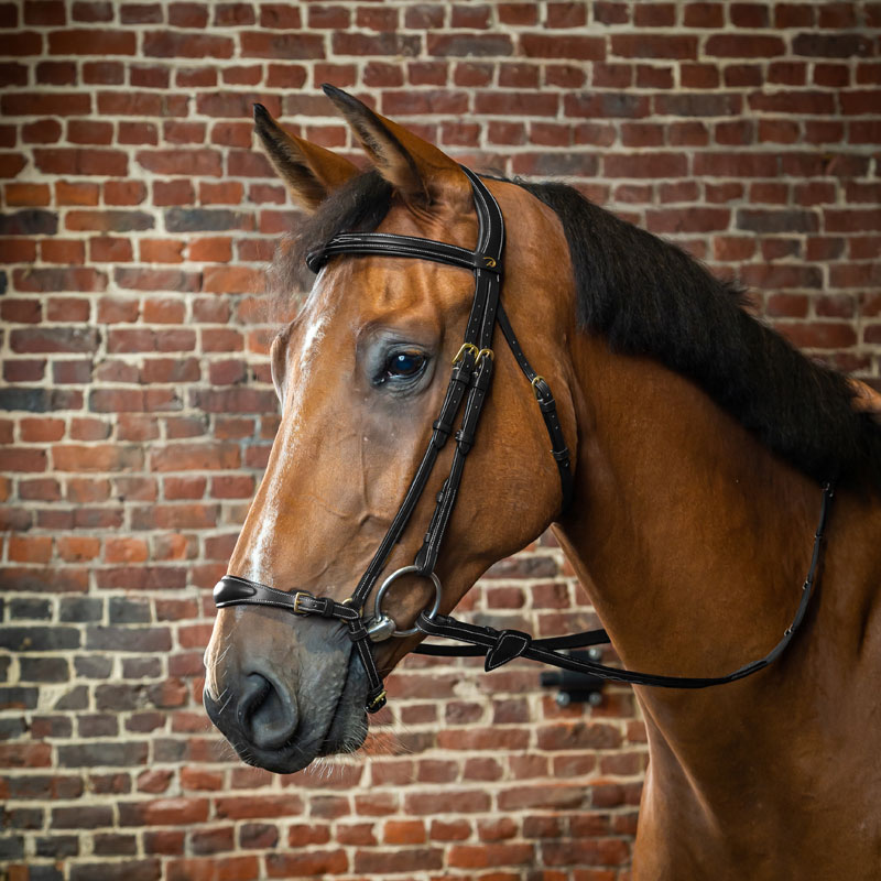Dy'on Collection Adjustable Drop Noseband Bridle 1 Dy'on Adjustable Drop Noseband Bridle Black Horse