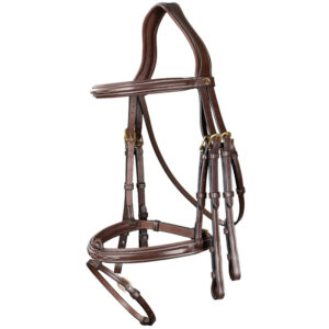 Dy'on Collection Flash Noseband Double Bridle 1