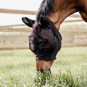 Kentucky-Slim-Fit-Fly-Mask-1