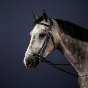 Rope-Drop-Noseband-Bridle-Black-1