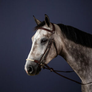Dy'on New English Collection Rope Drop Noseband Bridle
