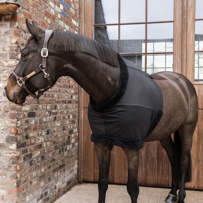 Kentucky Horsewear Chest Protection 4 Kentucky Horsewear Chest Protection - Image 4