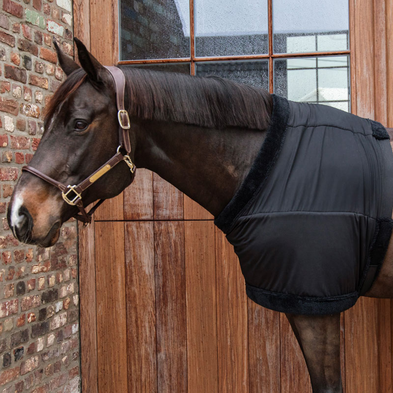 Kentucky Horsewear Chest Protection 1 Kentucky Horsewear Chest Protection