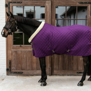 Kentucky Horsewear Show Rug - Discontinued - Purple