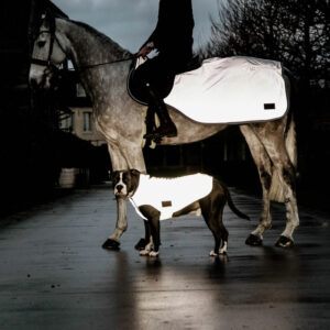 Dog-Coat-Refelctive-Belly-Cover-150g-1