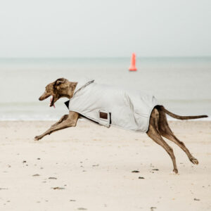Dog-Coat-Refelctive-Belly-Cover-150g-3