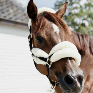 Nylon-Sheepskin-Halter-SOFT-2