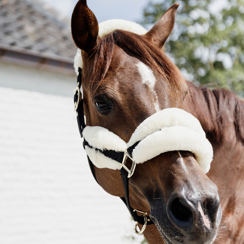 Kentucky Horsewear Nylon Sheepskin Halter Soft 2 Nylon-Sheepskin-Halter-SOFT-2