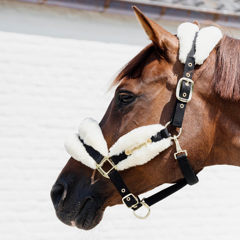 Kentucky Horsewear Nylon Sheepskin Halter Soft 1 Nylon-Sheepskin-Halter-SOFT