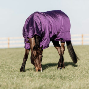 Turnout-Rug-Pro-Royal-Purple-3