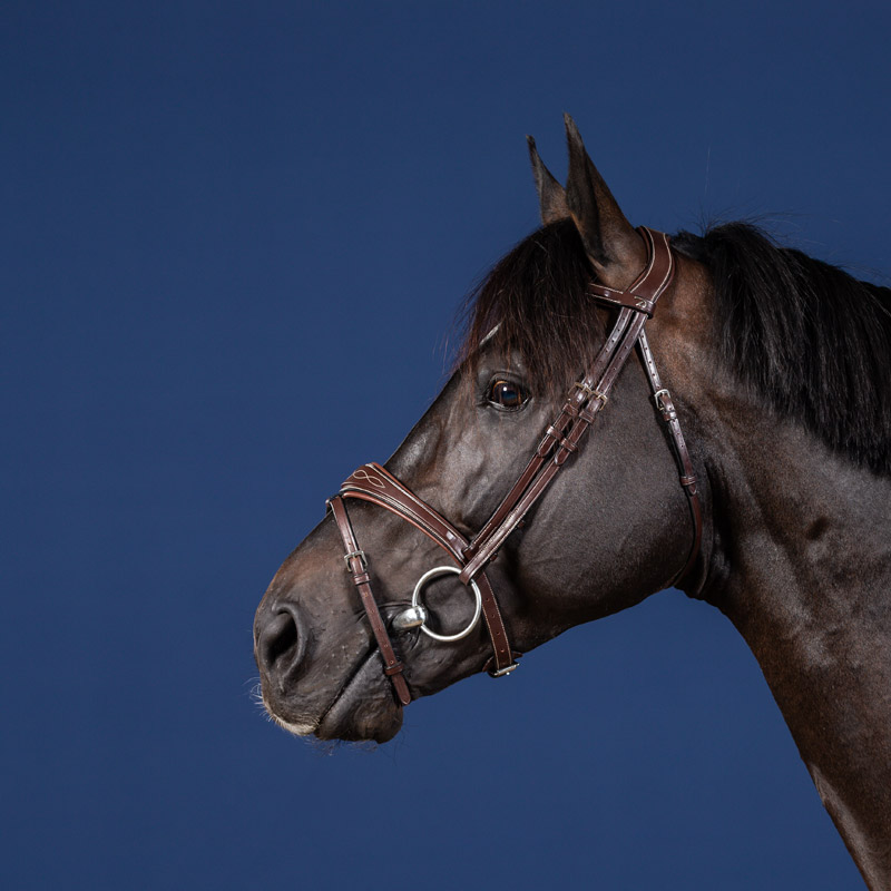 Dy'on US Collection Anatomic Flash Noseband Bridle 4 Dy'on US Collection Anatomic Flash Noseband Bridle - Image 4