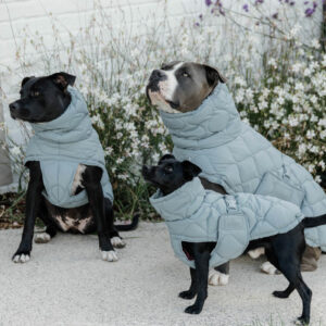 Kentucky Dogwear Dog Coat Winter Pina