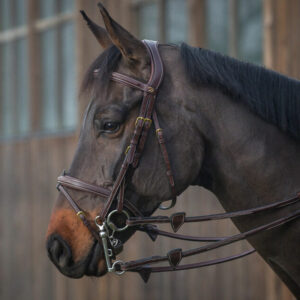 Dy'on-collection-double-cheekpieces