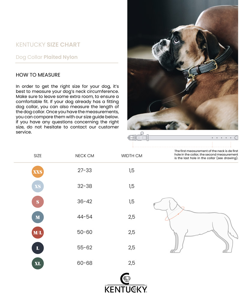 Kentucky Dogwear Plaited Dog Collar 14 Kentucky Dogwear Plaited Dog Collar - Image 14