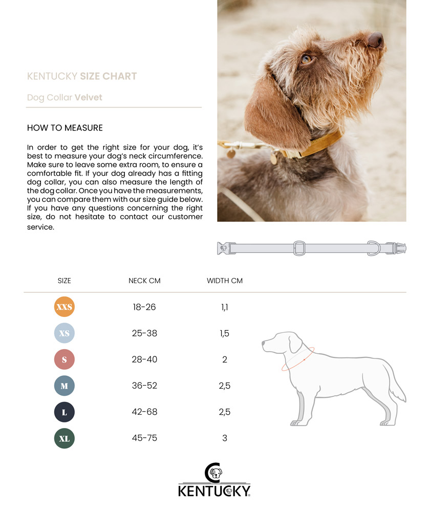 Kentucky Dogwear Velvet Dog Collars 12 Kentucky Dogwear Velvet Dog Collars - Image 12