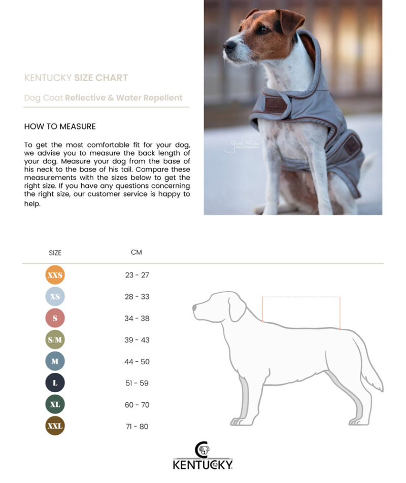Kentucky Dogwear Reflective Dog Coat - Image 6