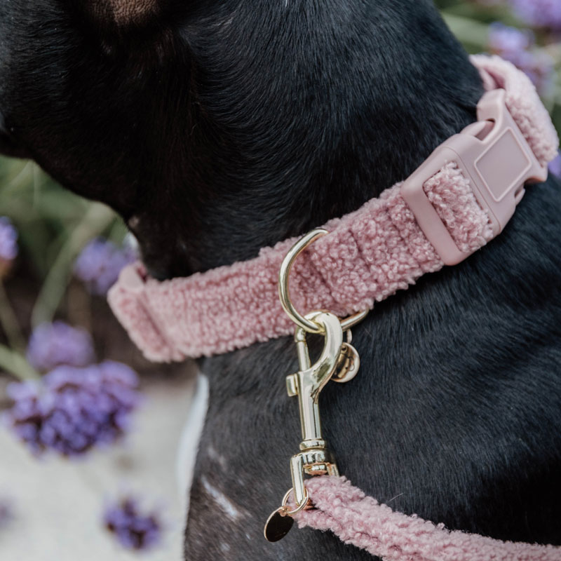 Kentucky Dog Collar Teddy Fleece - Old Rose 3 Kentucky Dog Collar Teddy Fleece - Old Rose - Image 3