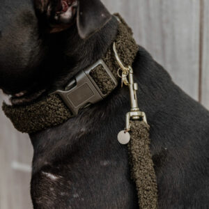 Kentucky Dog Collar Teddy Fleece - Pine Green