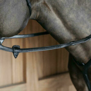 New-English-Plaited-Finish-Reins