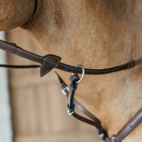 New-English-Reins-with-Loops-Plaited-Finish-1