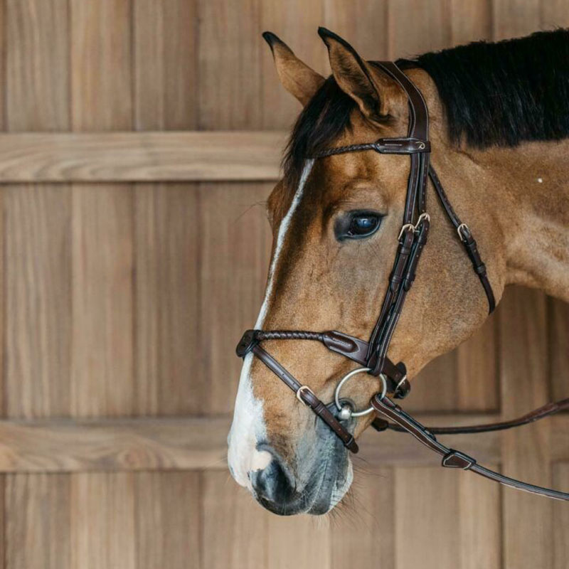 Dy'on Collection Braided Noseband Bridle with Removable Flash 1 Plaited-Dyon-Collection-Removable-Flash-1