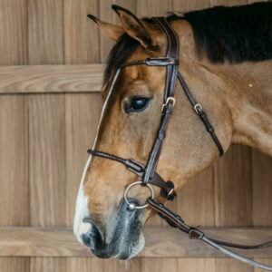 Plaited-Dyon-Collection-Removable-Flash-2