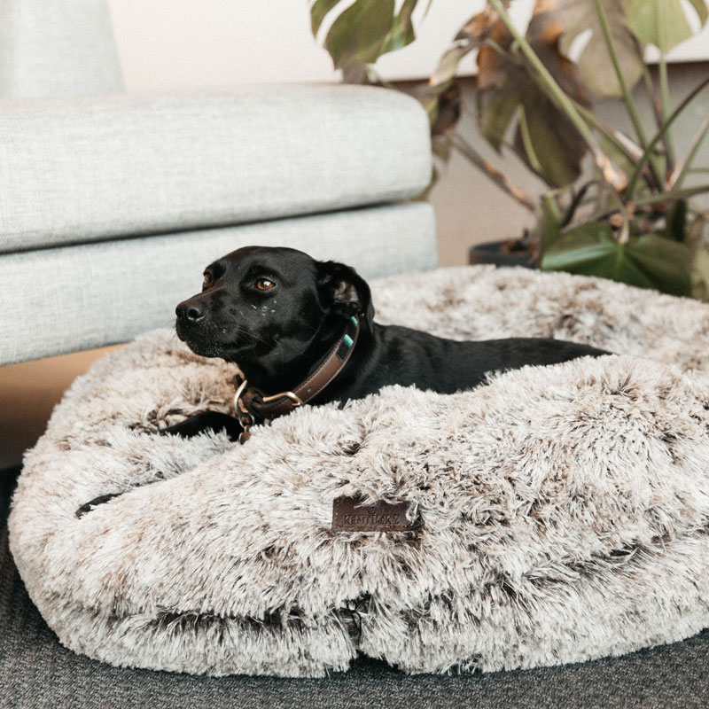 Kentucky Dogwear Dog Bed Donut - Brown 1 Kentucky Dogwear Dog Bed Donut - Brown