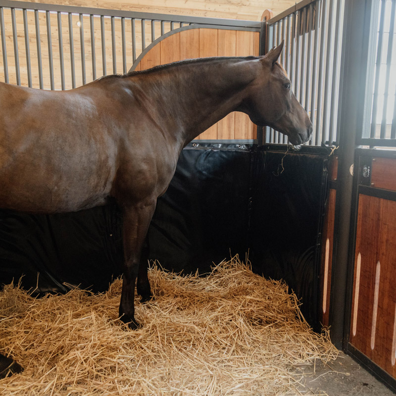 Kentucky Stable and Trailer Kick Pad - 300cm 4 Kentucky Stable and Trailer Kick Pad - 300cm - Image 4