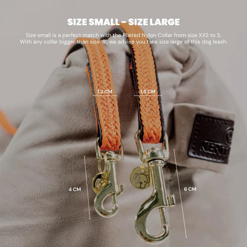 Kentucky Adjustable Plaited Dog Lead 200cm 2 Kentucky Adjustable Plaited Dog Lead 200cm - Image 2