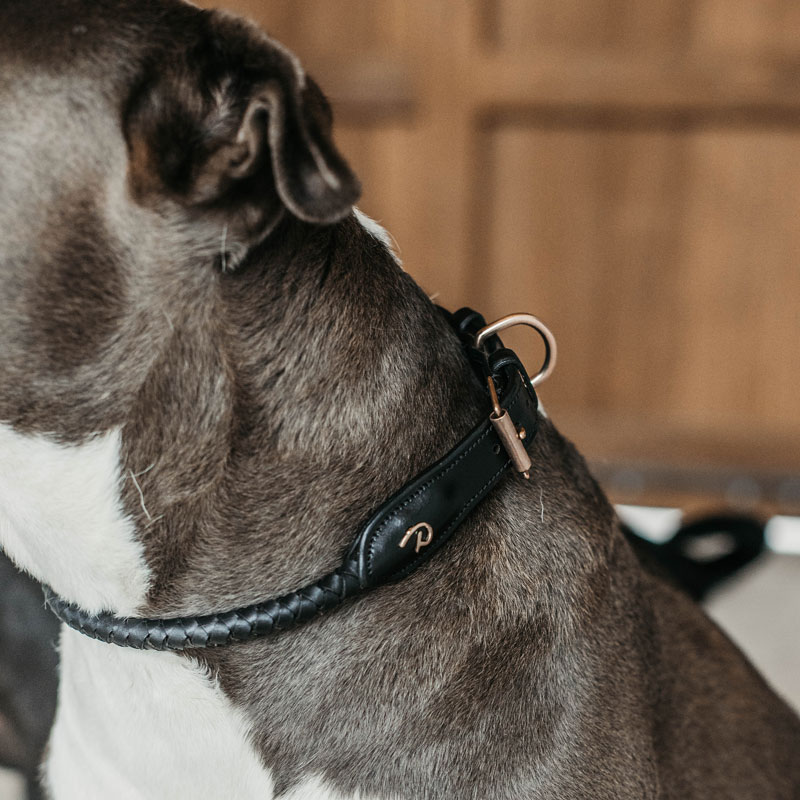 Dy'on Braided Dog Collar 1 Dy'on Braided Dog Collar - Black 3