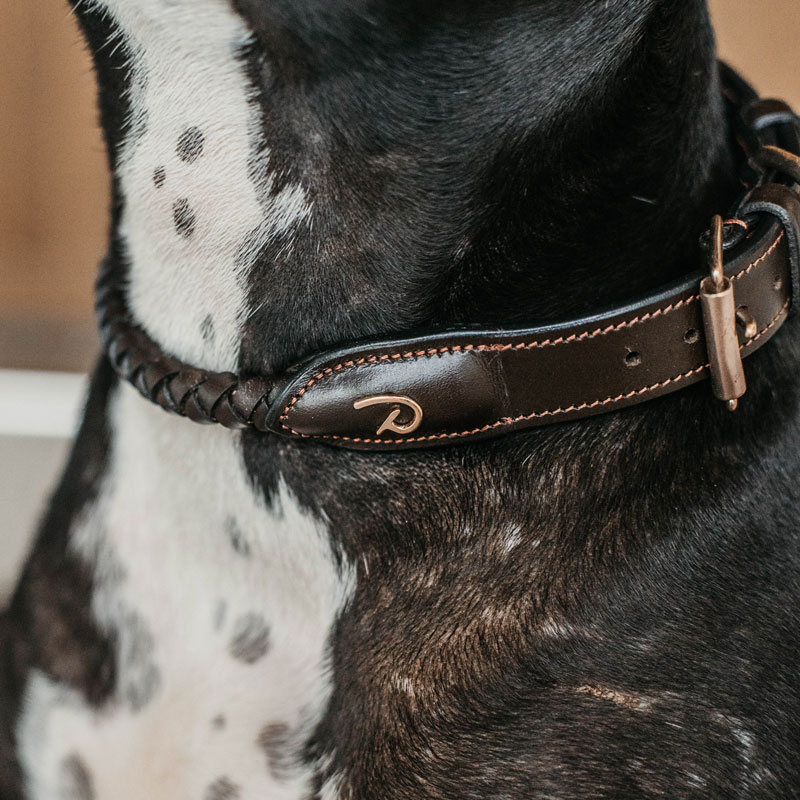 Dy'on Braided Dog Collar 2 Dy'on Braided Dog Collar - Image 2