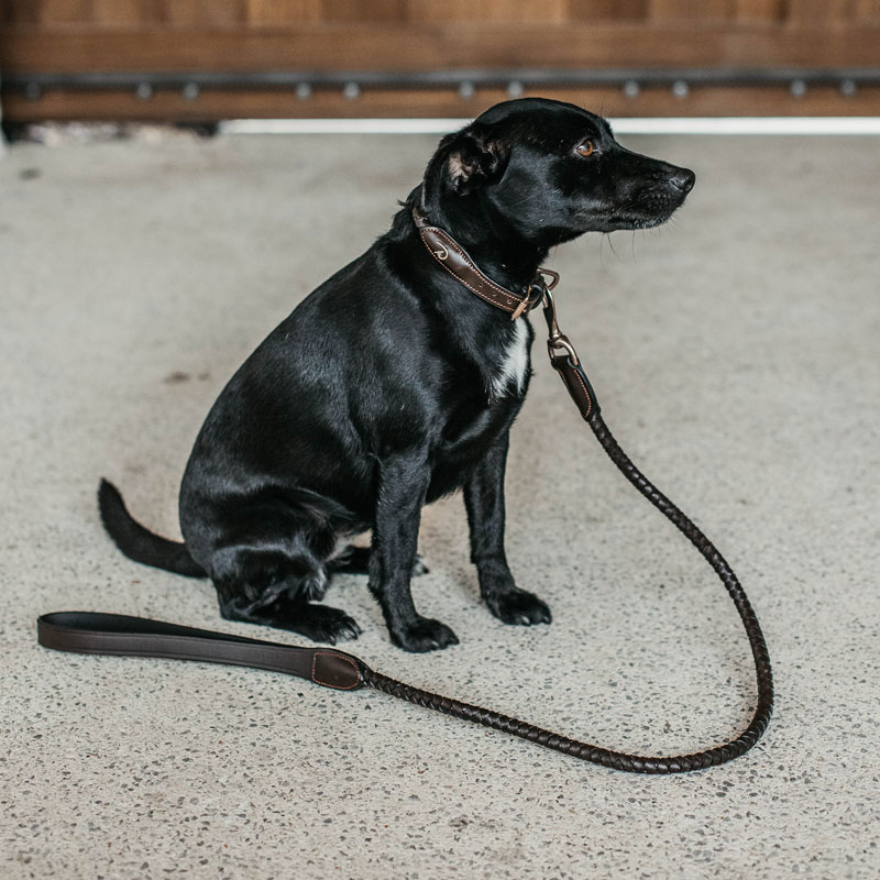 Dy'on Braided Dog Lead 2 Dy'on Braided Dog Lead - Image 2