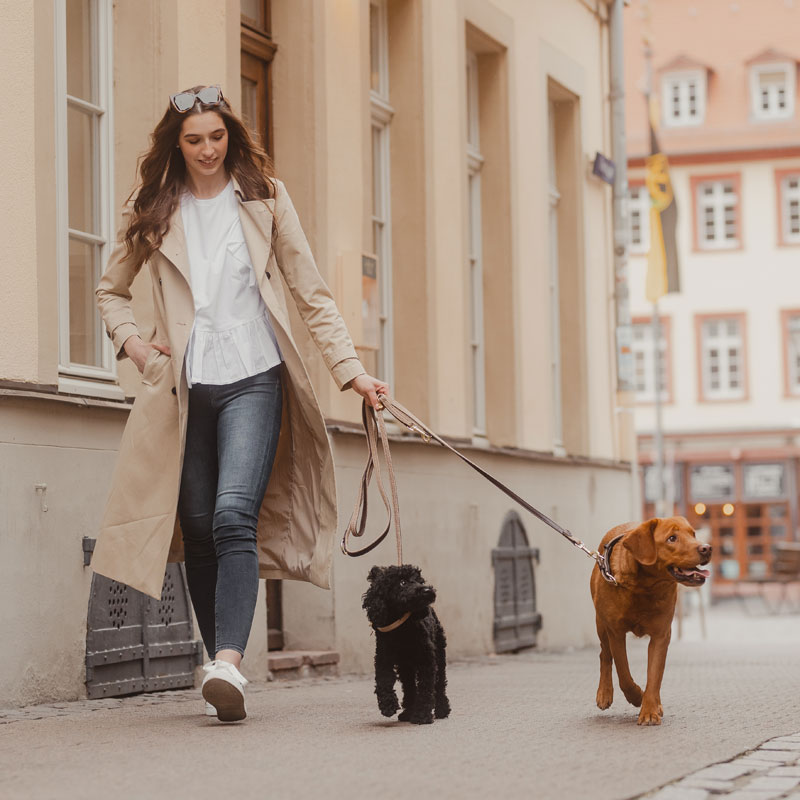 Kentucky Adjustable Plaited Dog Lead 200cm 3 Kentucky Adjustable Plaited Dog Lead 200cm - Image 3