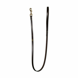 Dy'on Classic Dog Lead