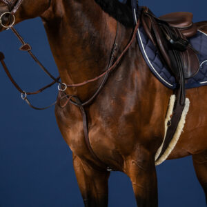Dy'on US Collection Running Martingale - Brown