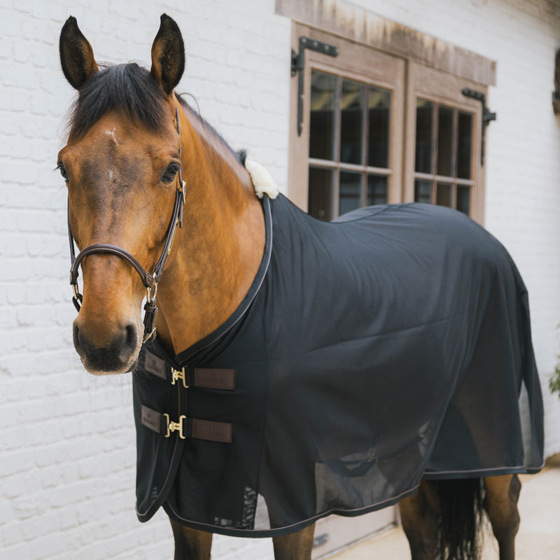 Kentucky Horsewear Mesh Fly Sheet 1 Kentucky Horsewear Mesh Fly Sheet - Black