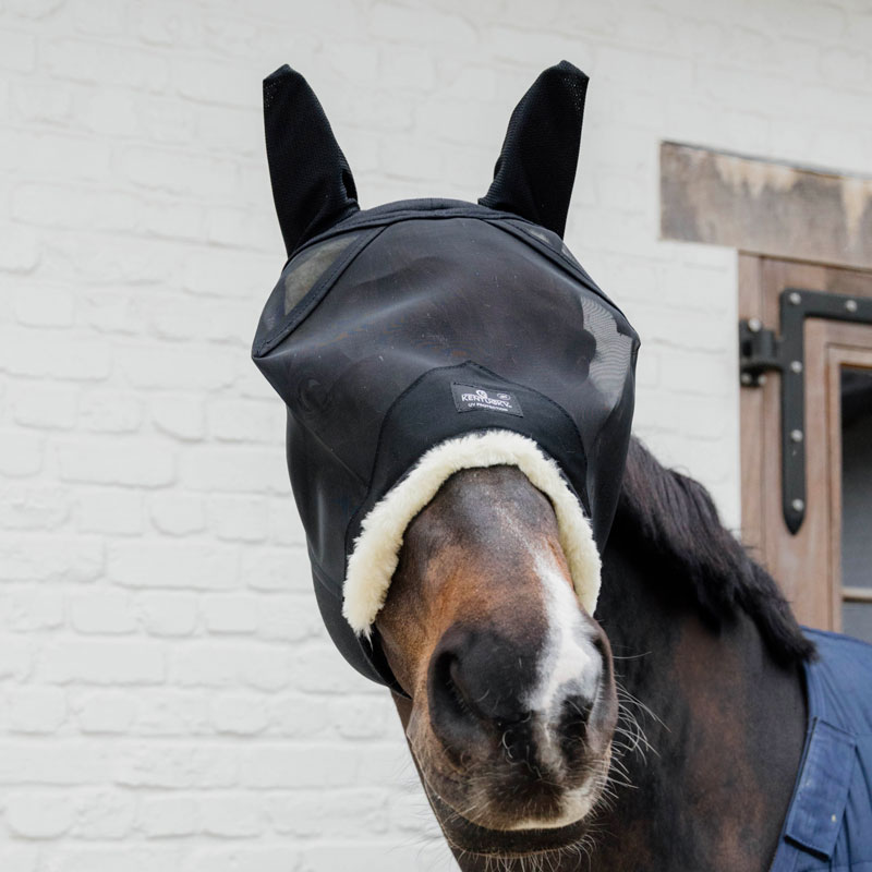 Fly Mask Skin Friendly With Ears 5 Fly Mask Skin Friendly With Ears - Image 5