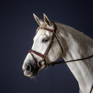 Dy'on New English Collection Flash Noseband Bridle