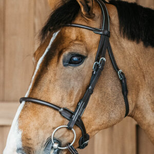 Round-Leather-Bridle-WBD