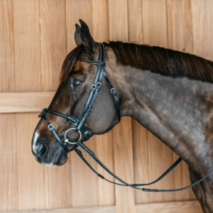 Round-Leather-Bridle-WBD