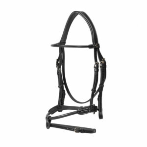Round-Leather-Bridle-WBD