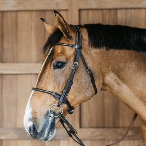 Round Leather Bridle Working by Dy'on