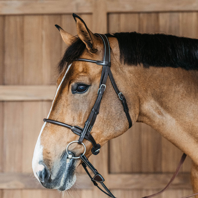 Working Collection Round Leather Bridle 1 Round Leather Bridle Working by Dy'on