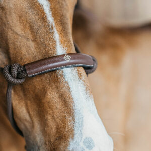 Dy'on Working Collection Training Halter