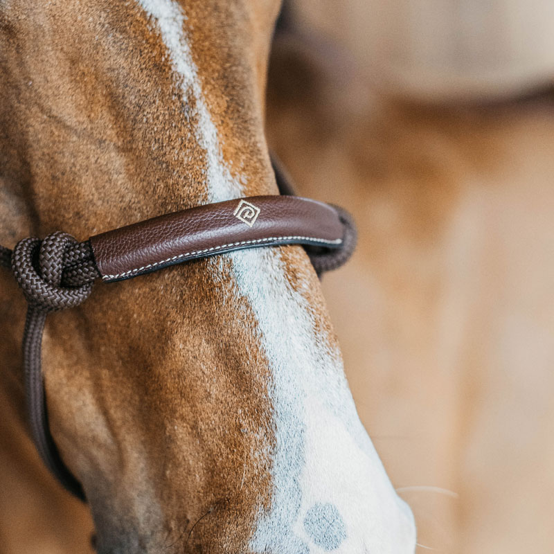 Dy'on Working Collection Training Halter 3 Dy'on Working Collection Training Halter