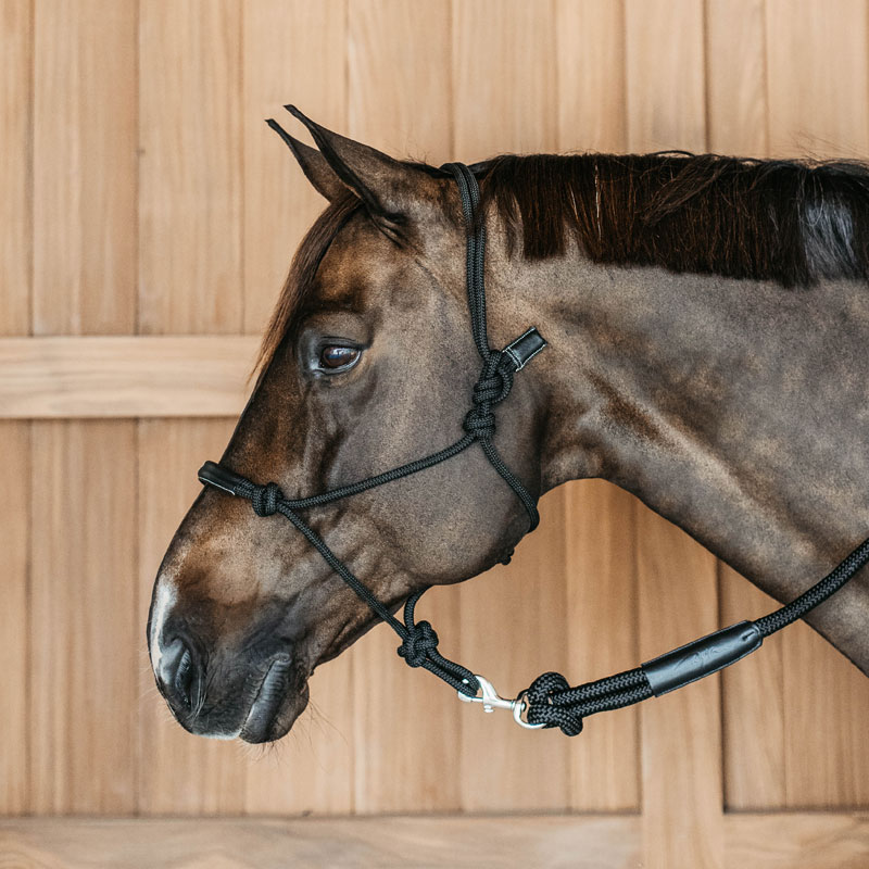 Dy'on Working Collection Training Halter 1 Dy'on Working Collection Training Halter