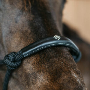 Dy'on Working Collection Training Halter