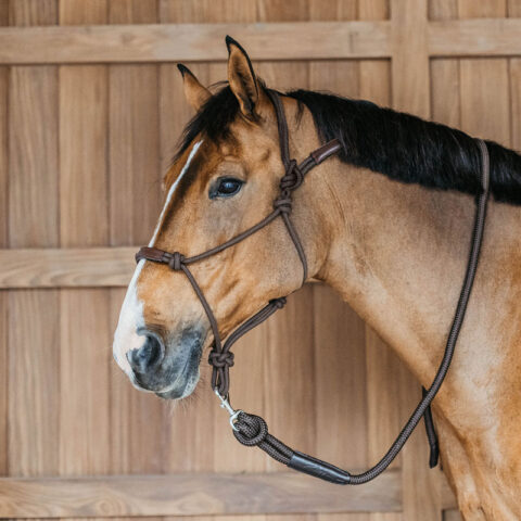 Dy'on Working Collection Training Halter